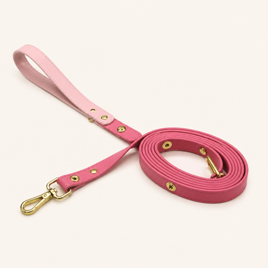 Elovane Signature Leash