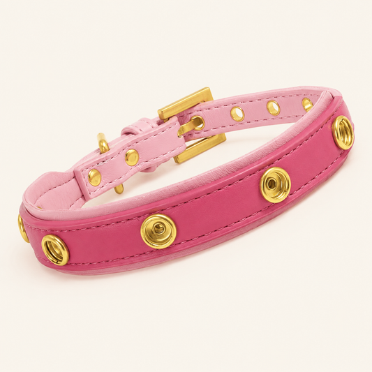 Elovane Signature Collar