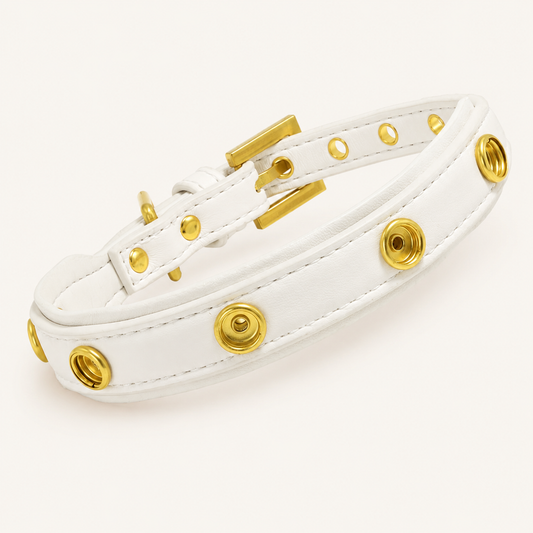 Elovane Signature Collar